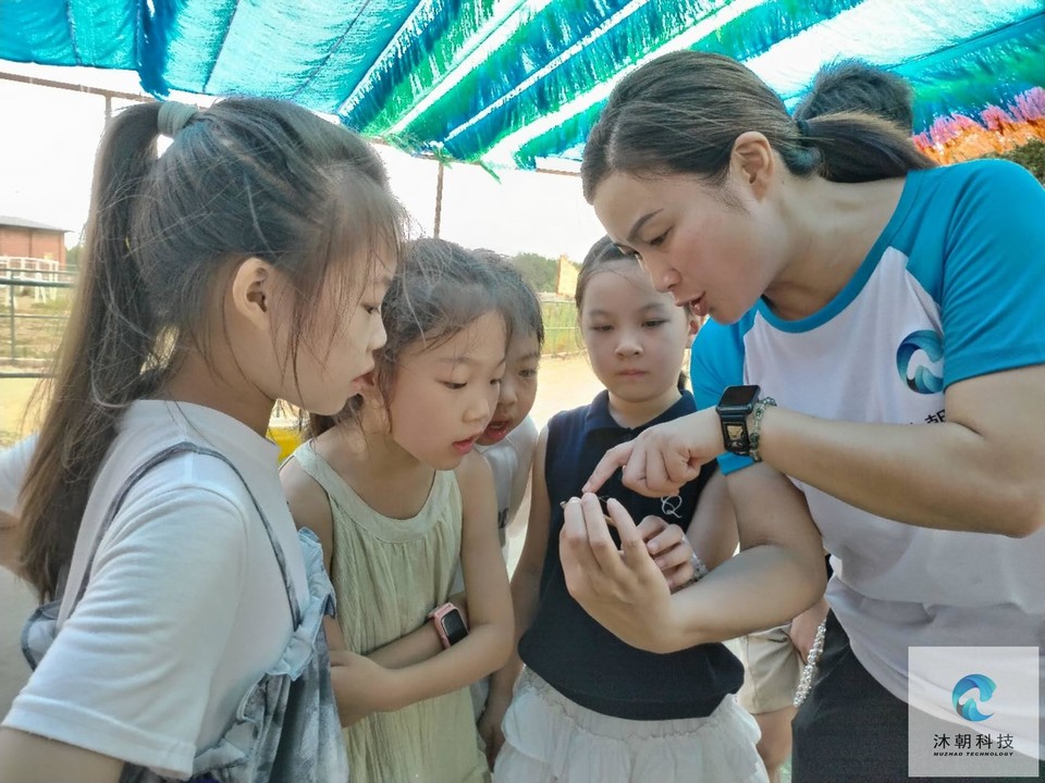 -v3NUQCApyECb0Belruw0rjmdjo2ikXmHRPEqATNxgeSdY-i5ilYSfI_42sEXHAO