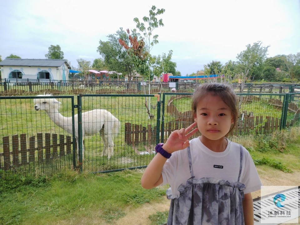 -v3NUQCApyECb0Belruw0lC6TT_BIzbvxg6ytccnnlFb2-ll3ubHFlAv8VXCKsIg