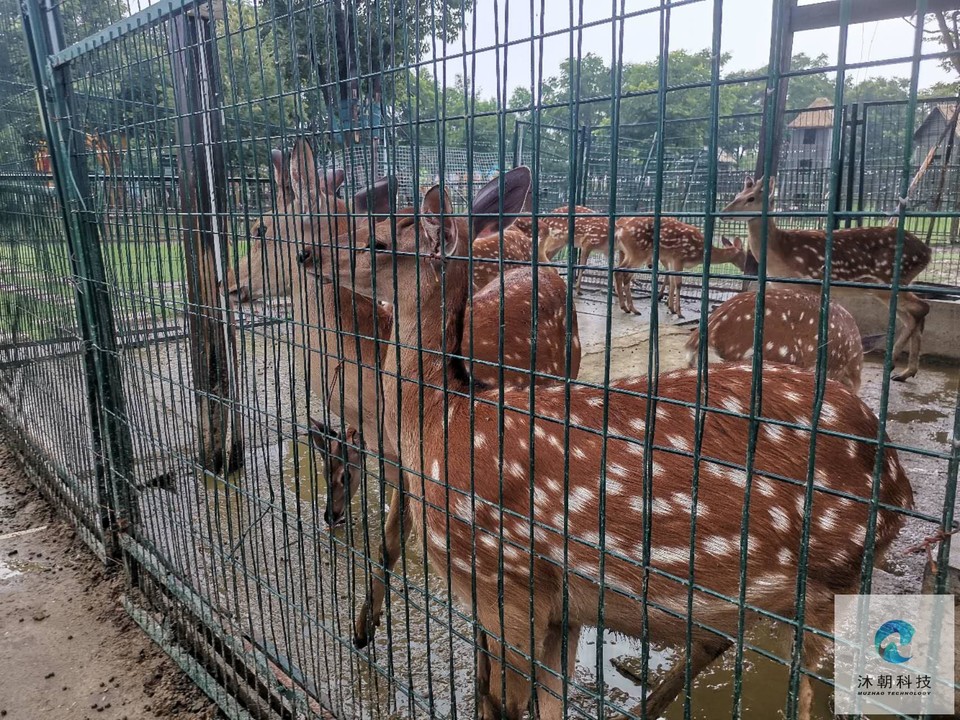 _O7h1TU2YZvLuTqFfRGVXWfSlPlJ3v3aqw4ReQS-8jANq3io2QKcfWSX5F9hCXOJ