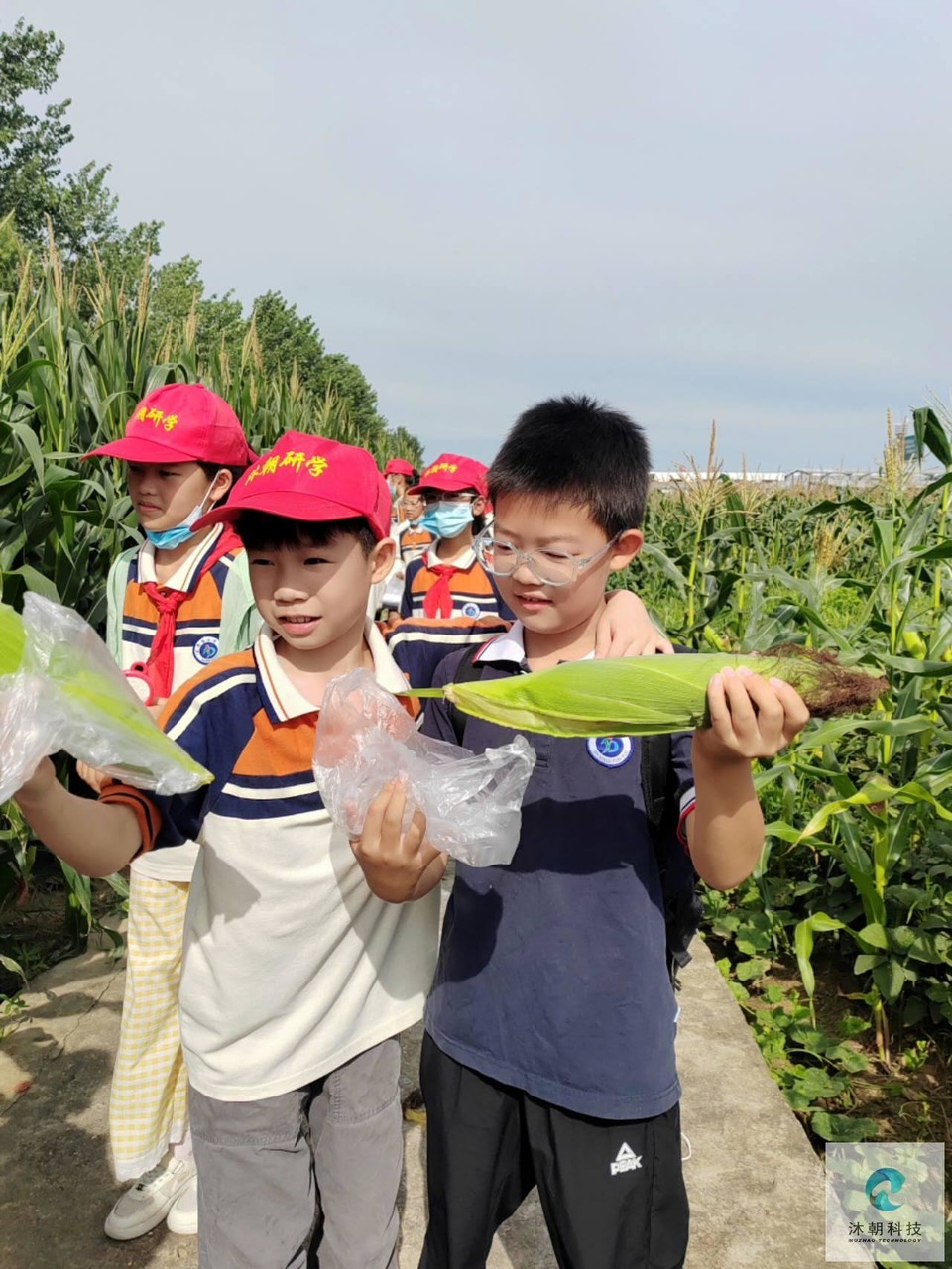 SbYayTo3Sv_3Jr3eiH8QynwFvsHlWChnp_YJw9wqKn2d3RSI71gpfUCbyj5ZB-gd