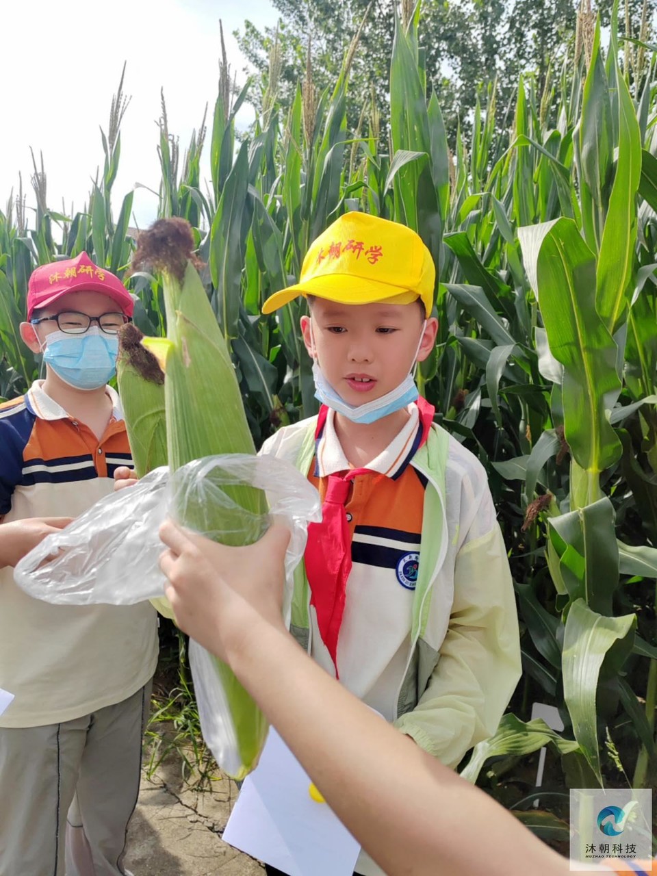 SbYayTo3Sv_3Jr3eiH8QylG5bvWA5MklUwT-vZHCAaT3-5o1JpZBWsPiciuhpNnC