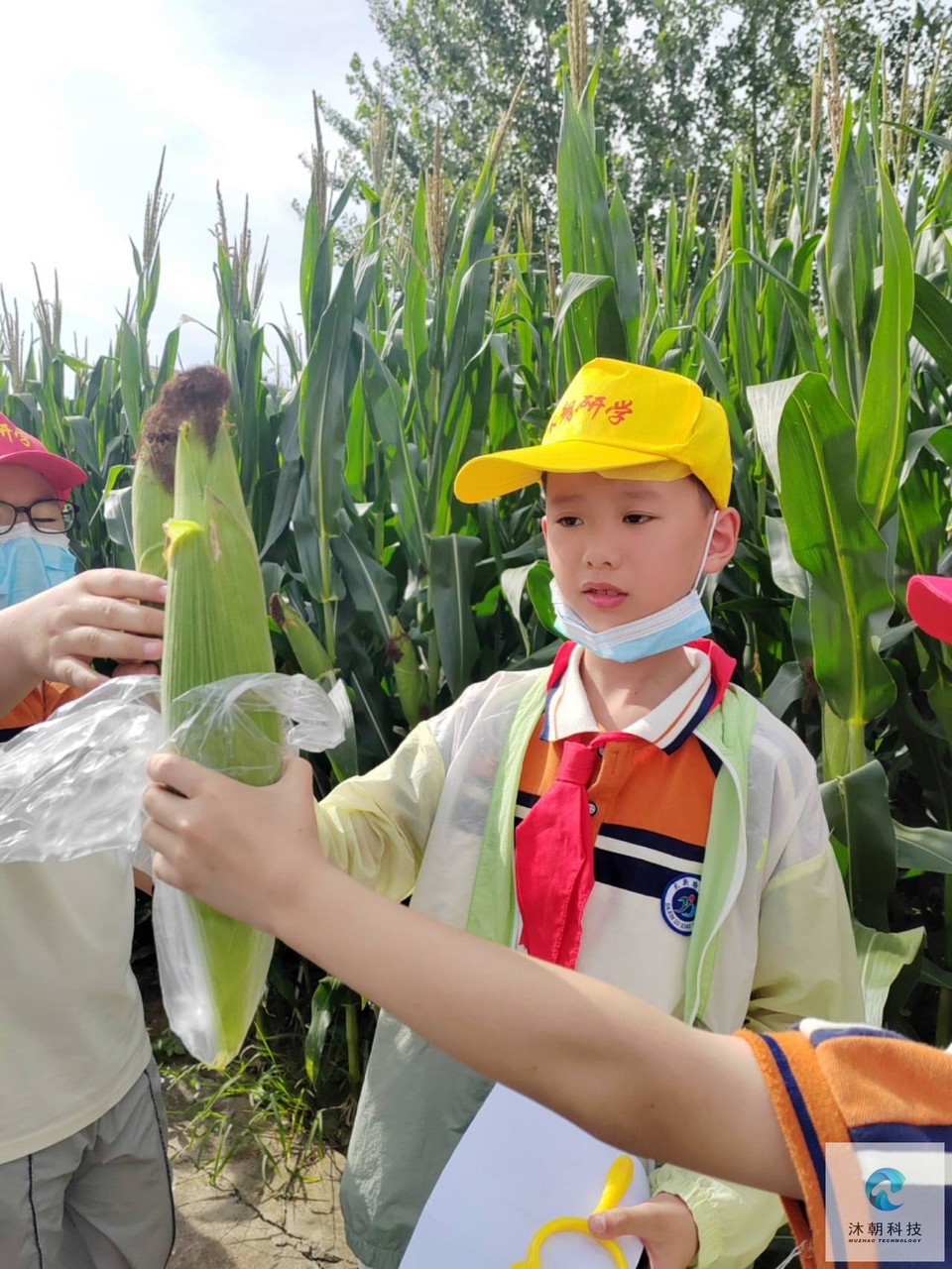 UWlFmcYUAQC9F1JITb3SkqPiF-jAvVKTD_QEMmhi-23CP9F2p98i8zU5gBW7WmDj