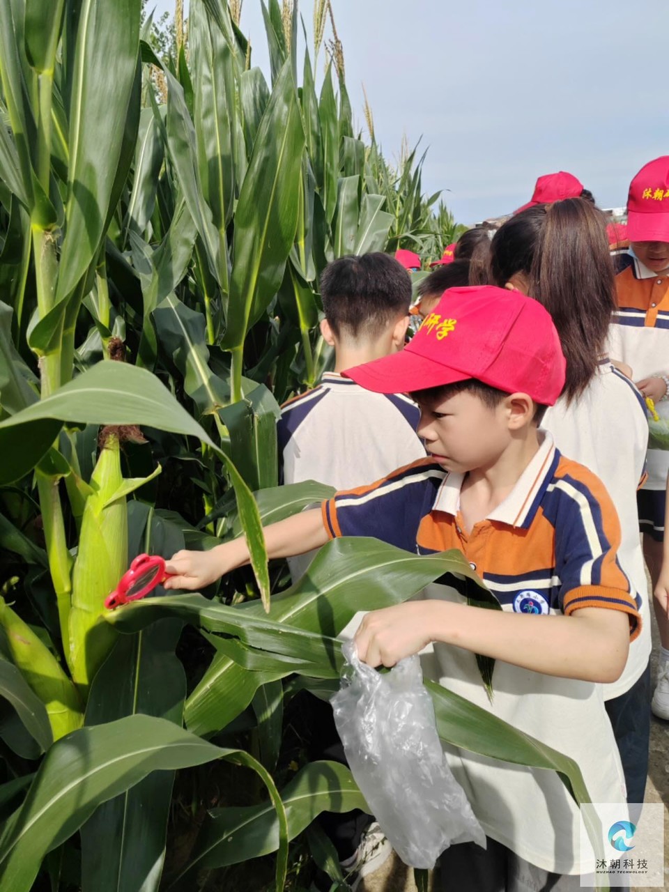 UWlFmcYUAQC9F1JITb3SkkJDhF3jIZHYwBUPH-gpW8W9YbbdDcpcRlsN6tChWIOx