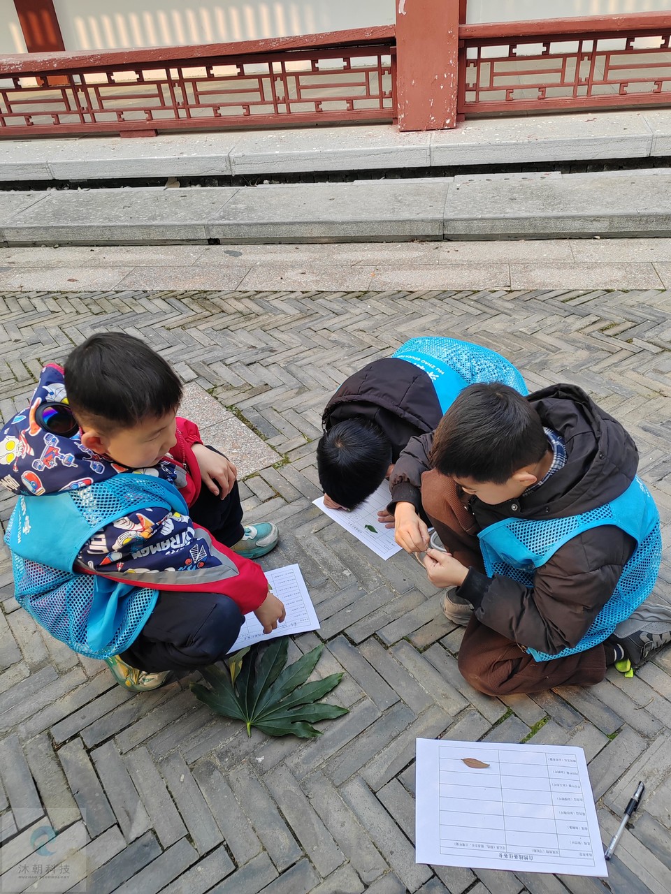 V_r29dhXLbphkP7Y5mpirRMFN-Ziuokfkx5N8n_6l_Kyo3_RqnCOs_8S0WXd0-cU