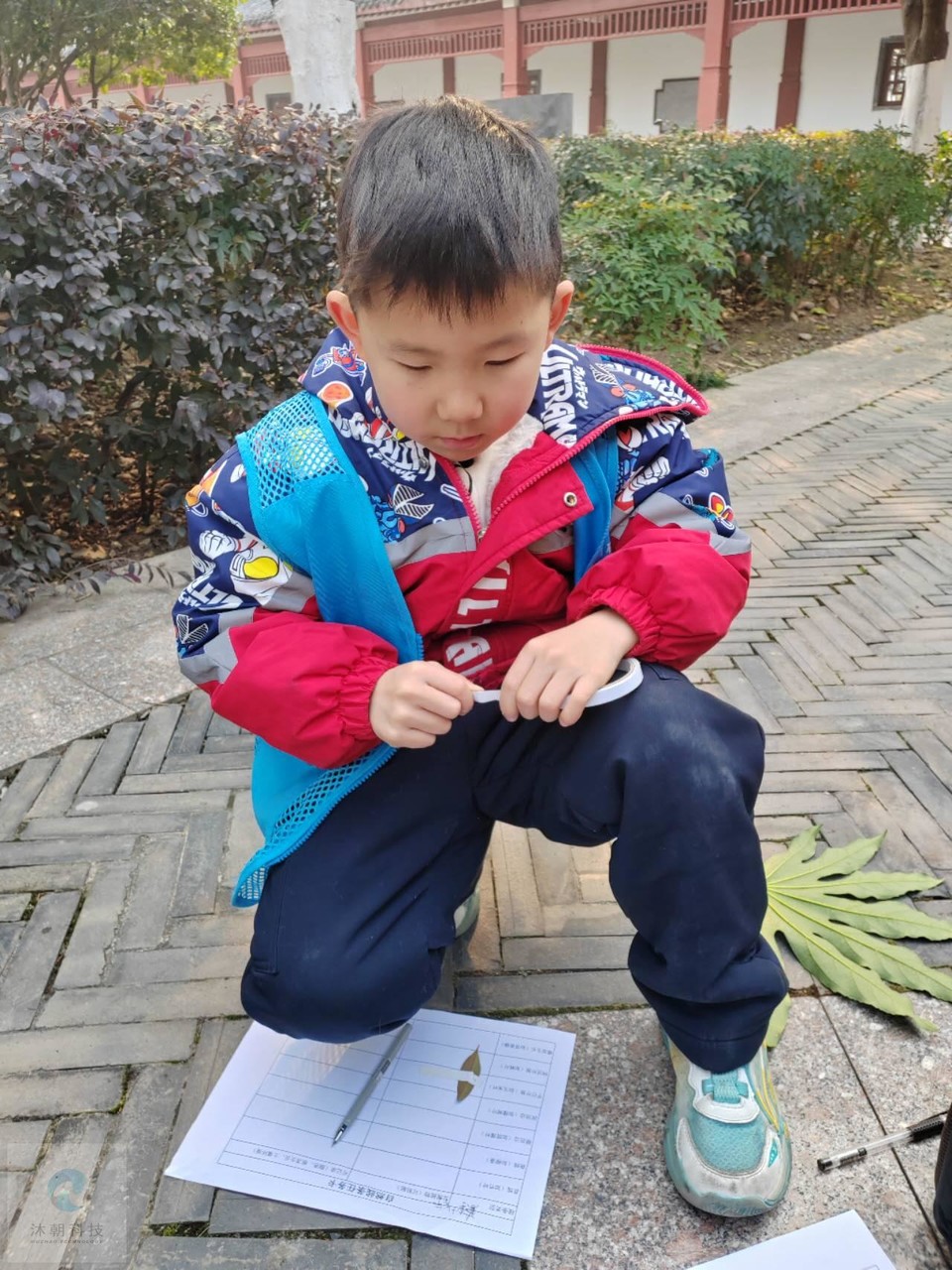 V_r29dhXLbphkP7Y5mpirXYX75_eb46QtRaeNKB7xA9WKkY0eBYhlJ2w1pLrxEF5