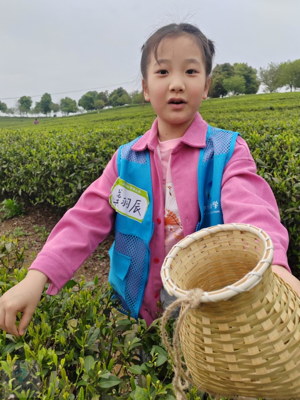 8t5_s2qcyTZ_4dqOC1Ie-sai9XFwCVYTOrVwiR-m9Aw1-eh3eTRj0J74cl1X9jFN