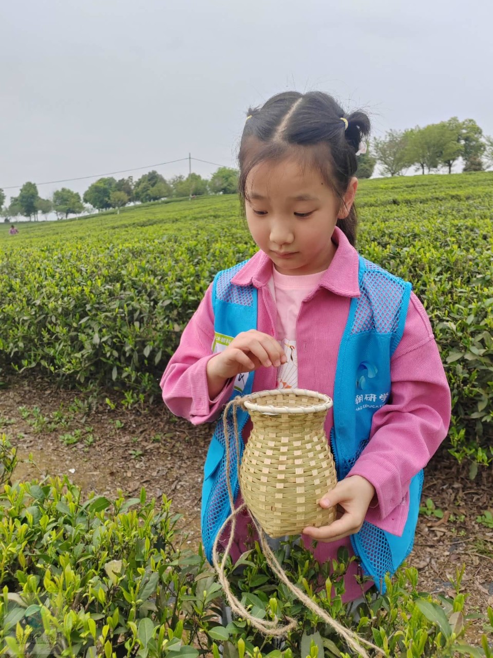 8t5_s2qcyTZ_4dqOC1Ie-sAb8WKv1IrCSt4wGz2gf3BViCRfLIey4G3rif0Vc6yK