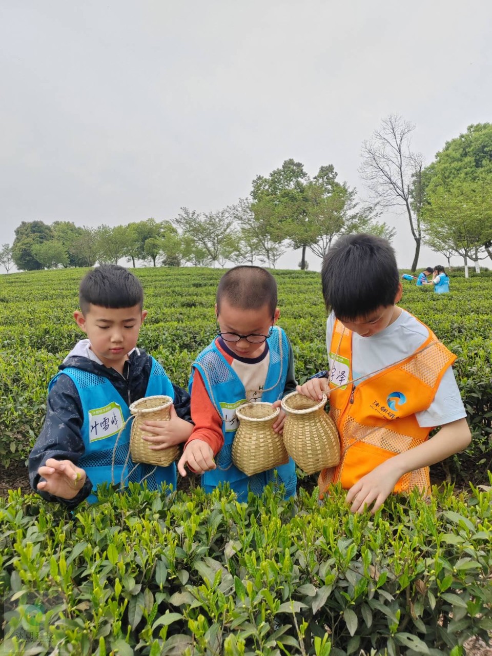 8t5_s2qcyTZ_4dqOC1Ie-g1EUIol9FU_79e0CB-QP7JIERtdidq3zh-HieoTyDm8