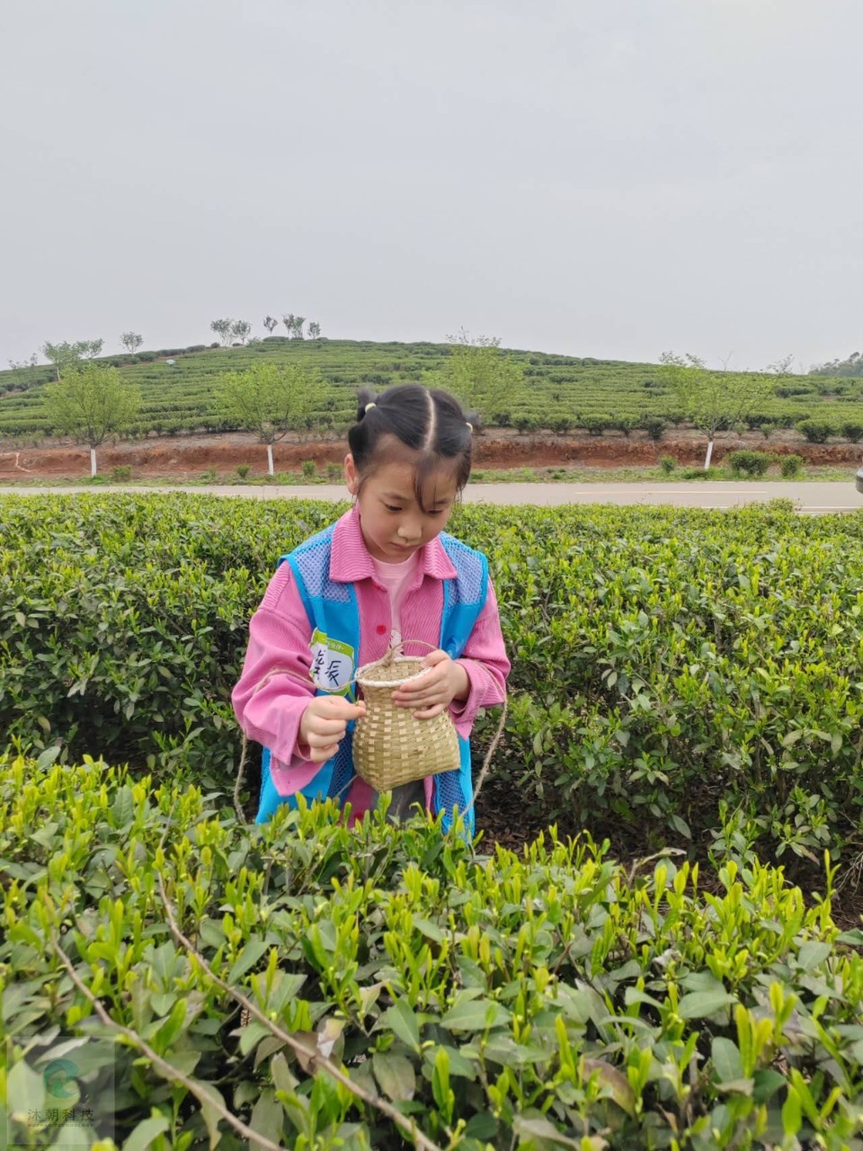 8t5_s2qcyTZ_4dqOC1Ie-mVPEFTCPUWH7sjqUBQZibLLaPl18W0qCyGrQCBkMxXU