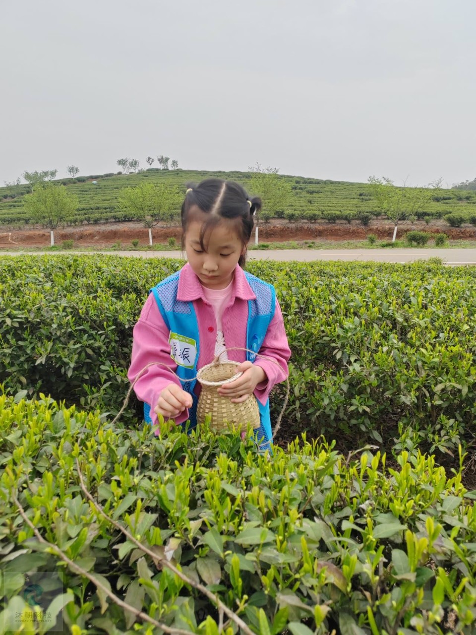 8t5_s2qcyTZ_4dqOC1Ie-tR9NzupOKkEIg-sPylxvnXrpzUAKaA9KmZHnUP6Wm9H