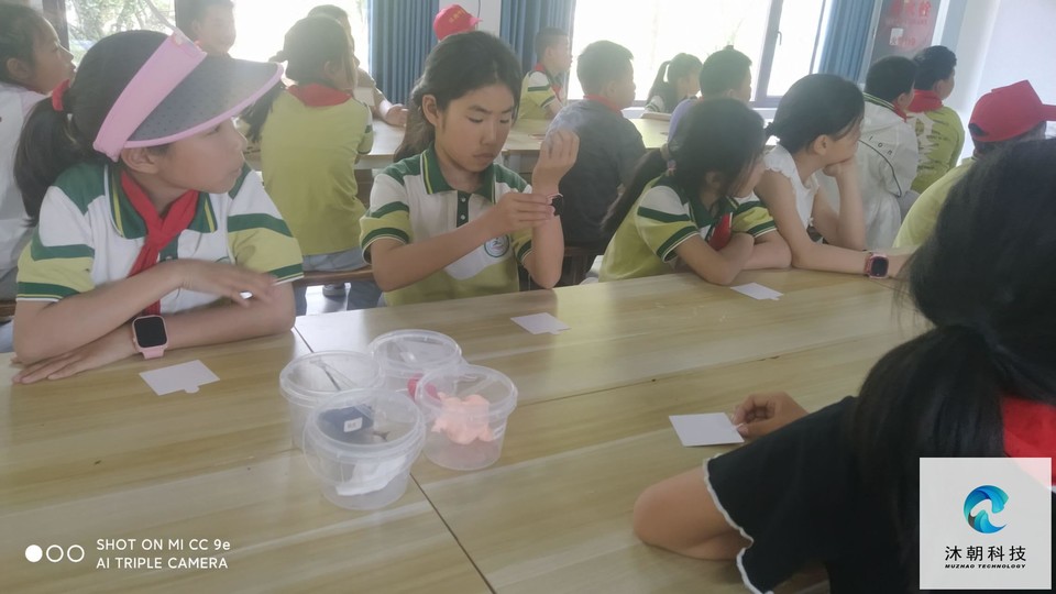 XaPWzazmJyNODHt2IZGXWPeZwnaJ4L4AGvVCxb3JAKAgFFcYr24HNZ1Ghx4oW3Qm