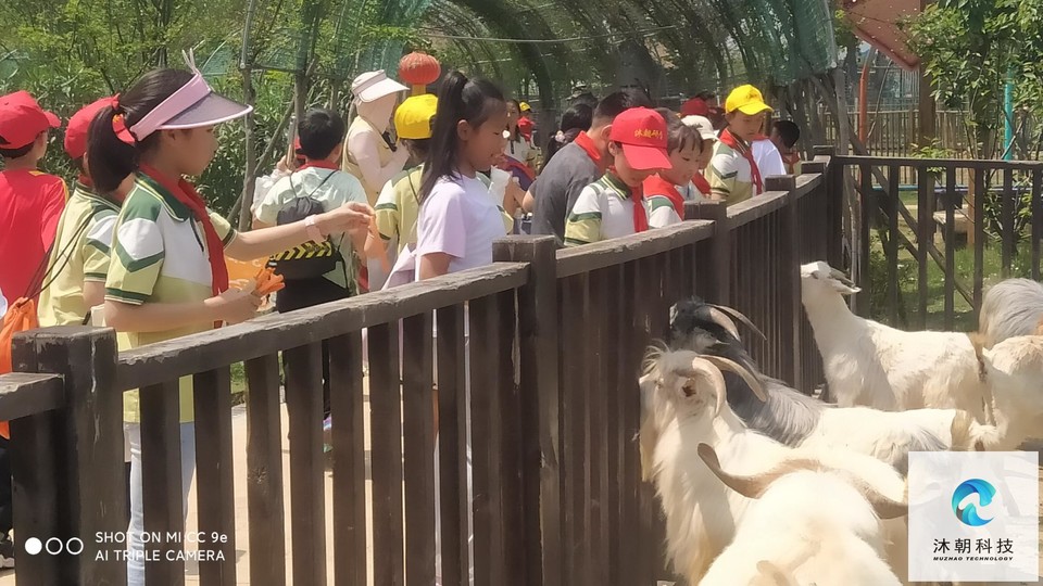 H-_KGBzA4Ul-OZ1UL5fTn7vbeazB0Pca3Jjglnecu93r1_IwNMx1fdFD_lXFCi66