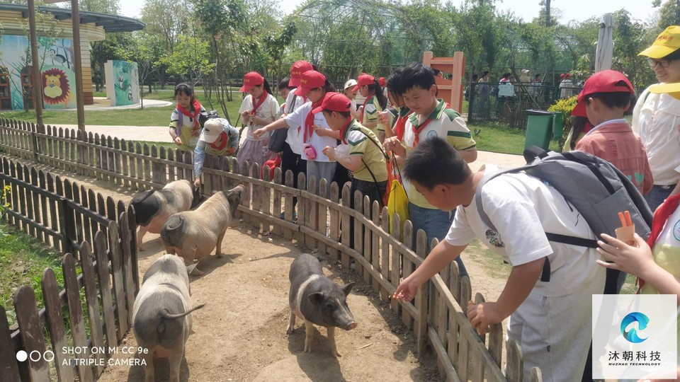 H-_KGBzA4Ul-OZ1UL5fTn_x0_RjUmzIo5iAsonF3vofsQcPLDNqbxuon2kO7ZmmC