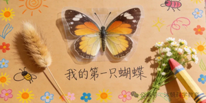 国庆研学之三｜虫虫特工队集合！国庆去华中农大，亲手做一只蝴蝶标本