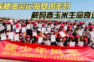 【班级定制】劳动实践--走进仙桃农科院的小小农学家们，春日田野课堂