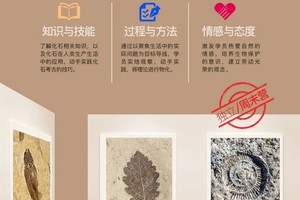 沐朝独立半日营 | 【化石小猎人】变身考古学家，亲手挖掘，开启化石初体验！