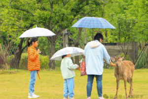 【沐朝全日营】森林奇遇×周黑鸭工厂探秘：小小体验官的成长一日！