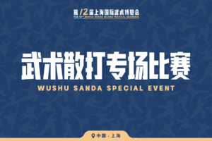 武术散打专场比赛Wushu Sanda Special Event