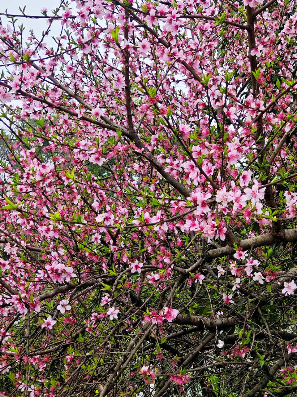 IMG_20260416_220233