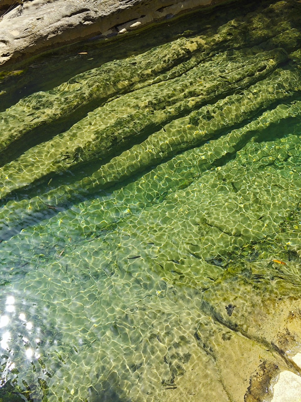 MVIMG_20260404_132907
