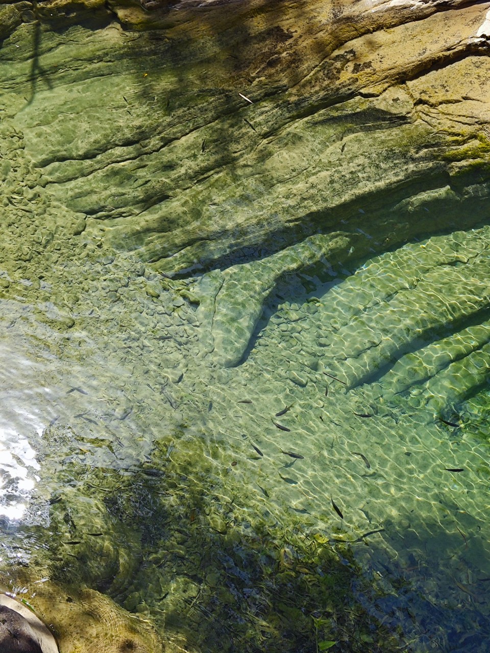 MVIMG_20260404_132844