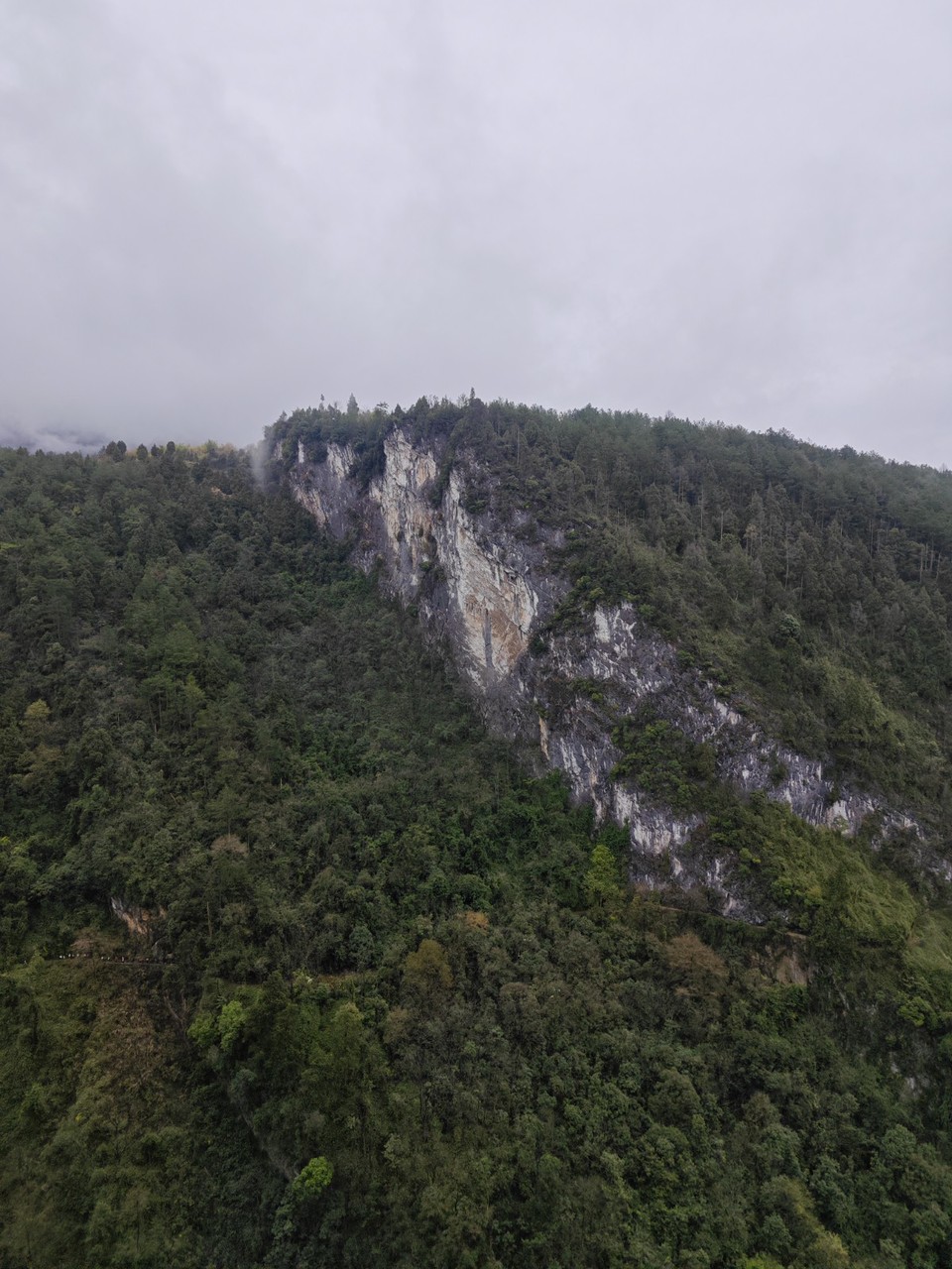 MVIMG_20260301_105735