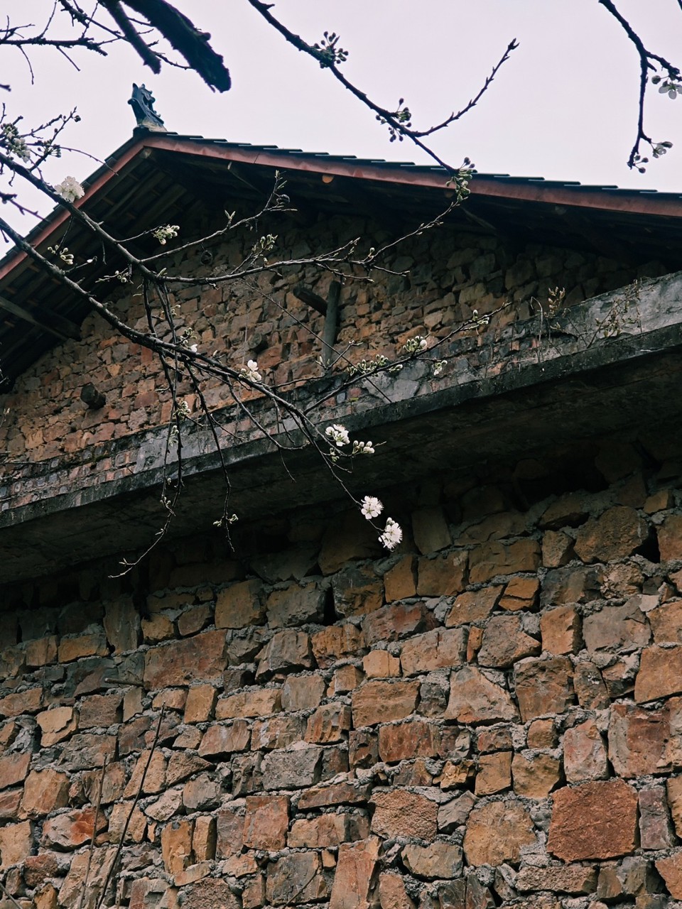 MVIMG_20260301_142257