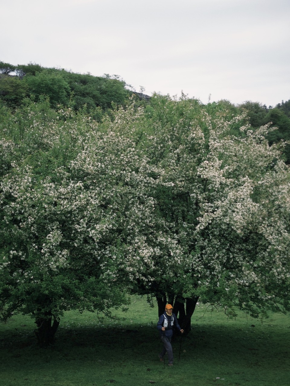 a9206d31e151dd6c5fbfccb58721e2ca