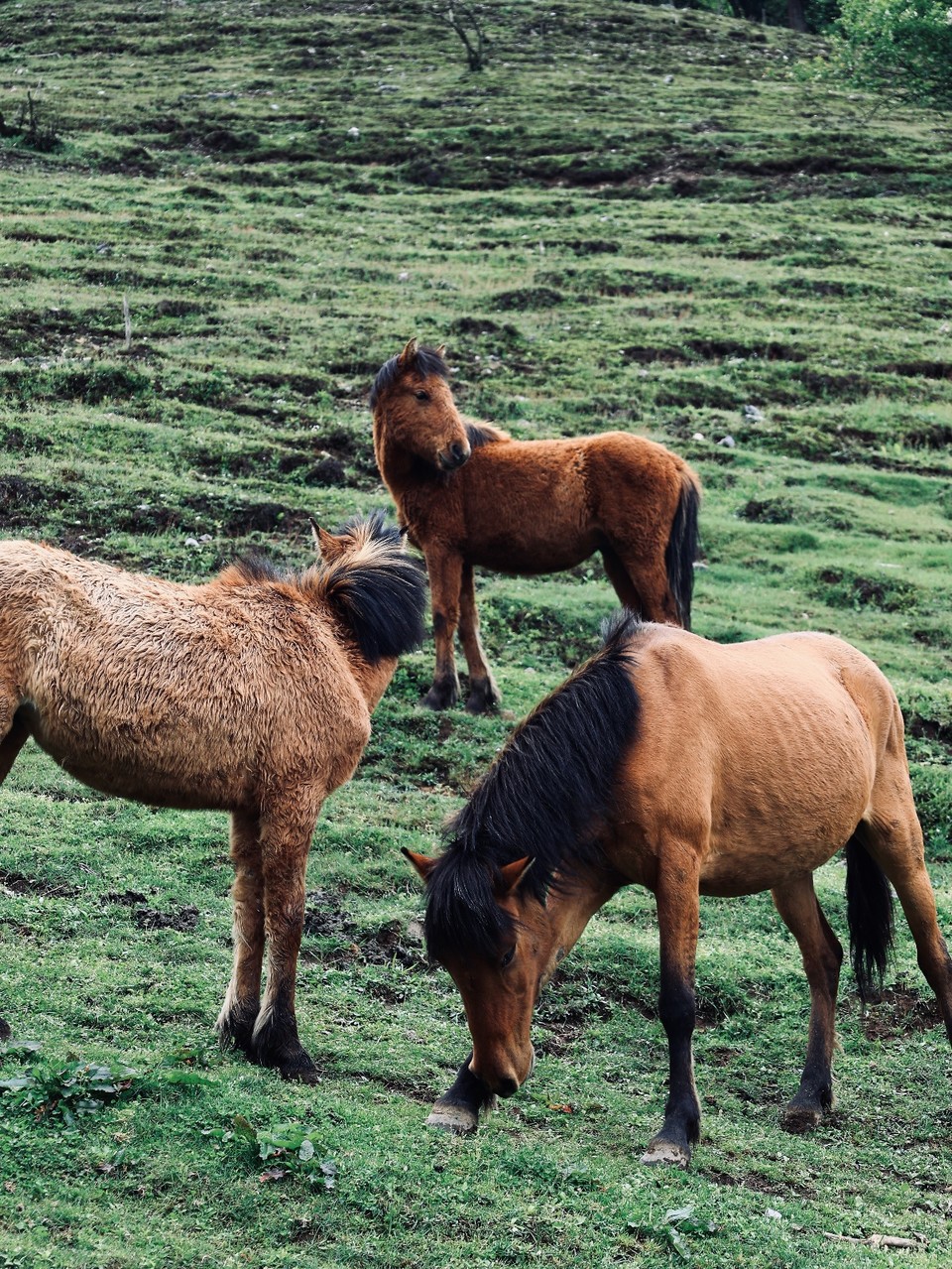 573757d4dec1f8df0a34b54fa1f4a2af