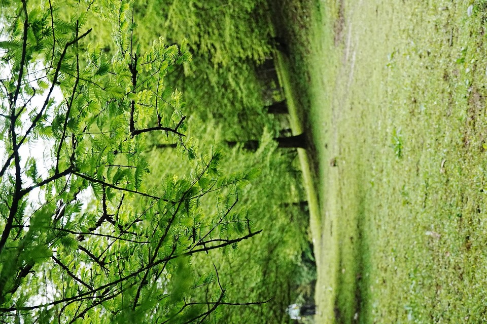 bf39ab4c493c1dd24abaf6e1c7096358