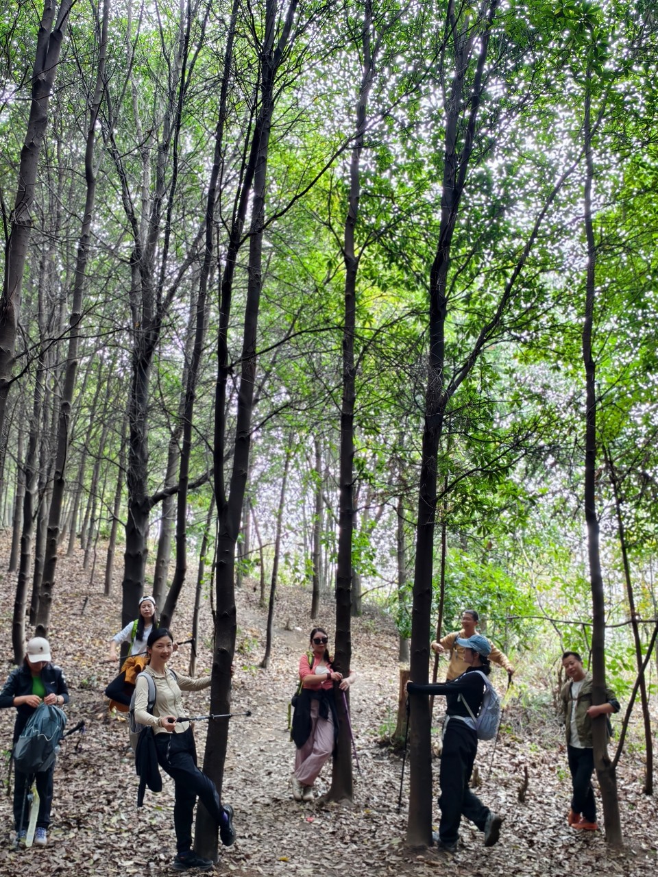 864ae2db2d524fc0d4b765ed8d838ef0