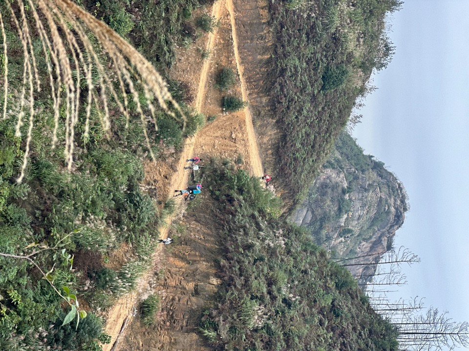 1fb4661d615518e504d37ed2a15c993c