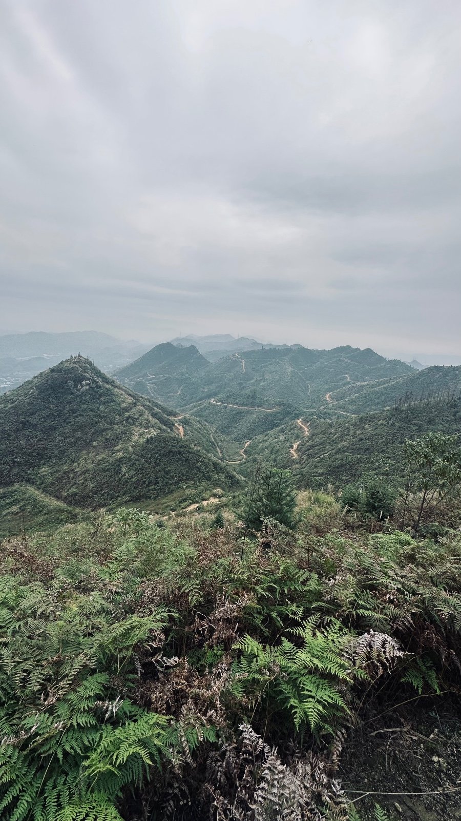 2192c701f7ca0605b984ddb368a93d01