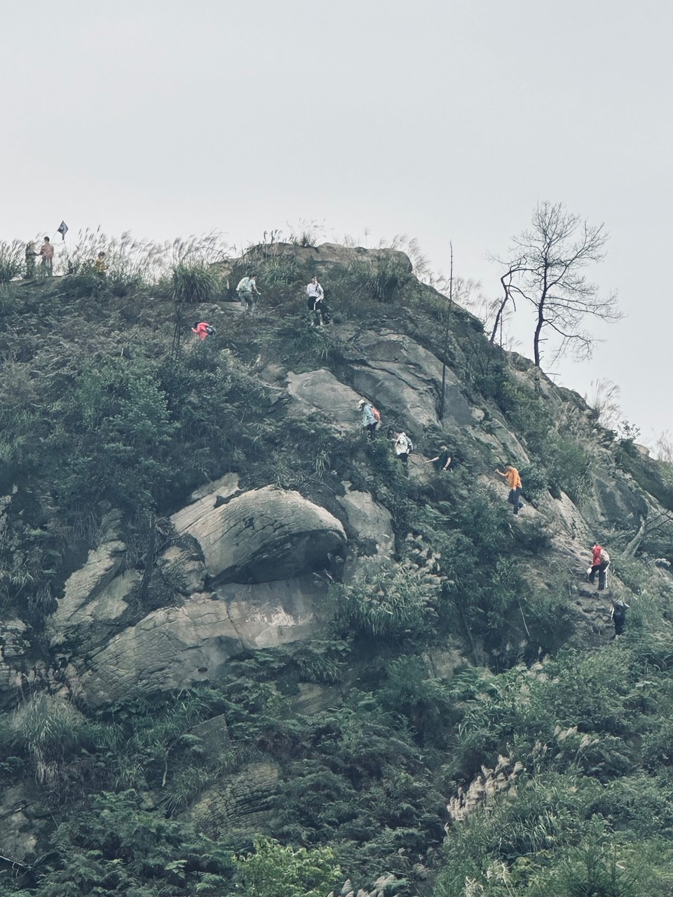 134488420d58ed75a68a66ea09599bde