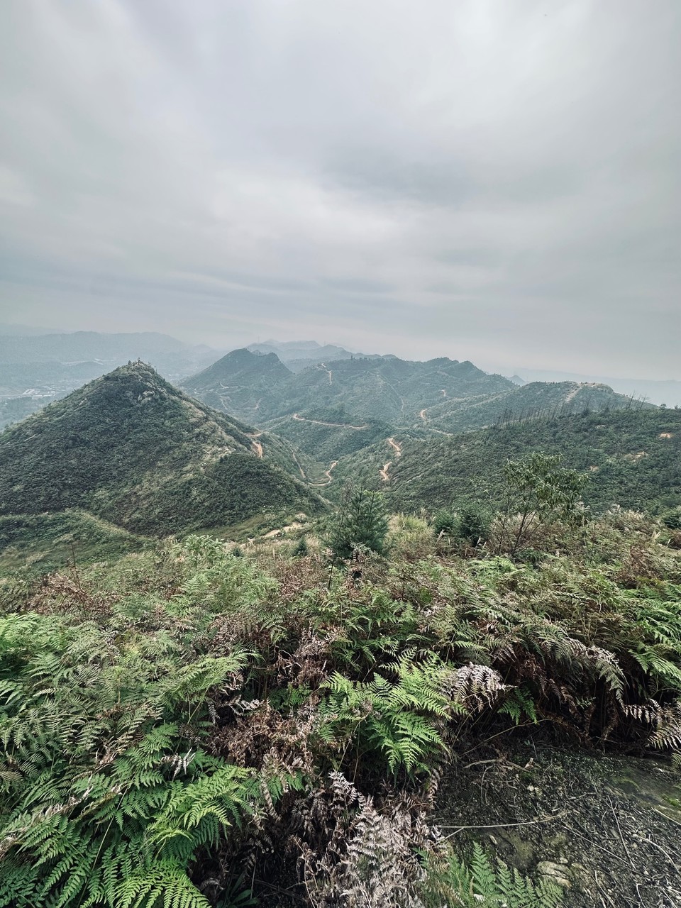 ec39f0ca05942a6b99a0cab2f548ace9