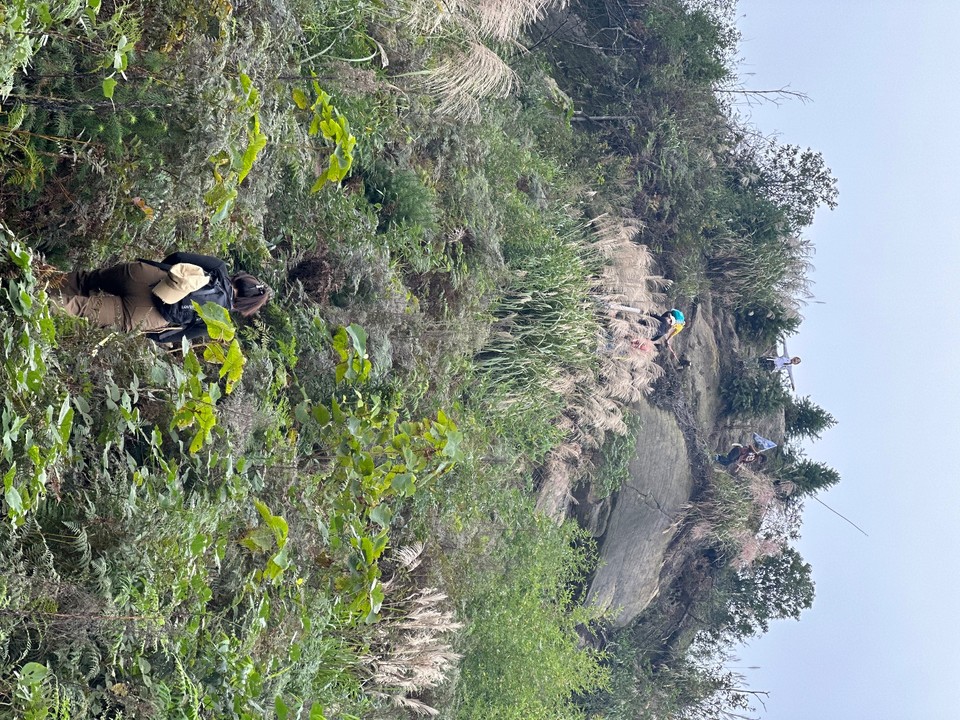 8068802cdc1709d711b7c61ae4cc82ef