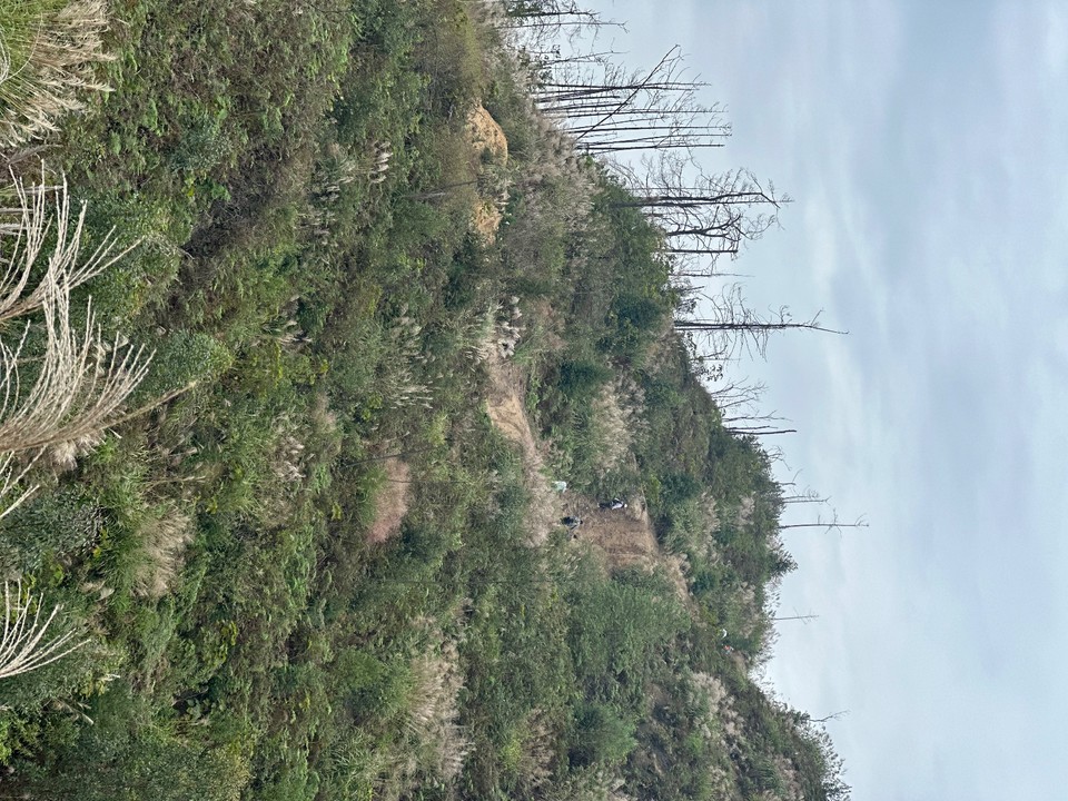 5c89d21a66faad56f33627f241312208