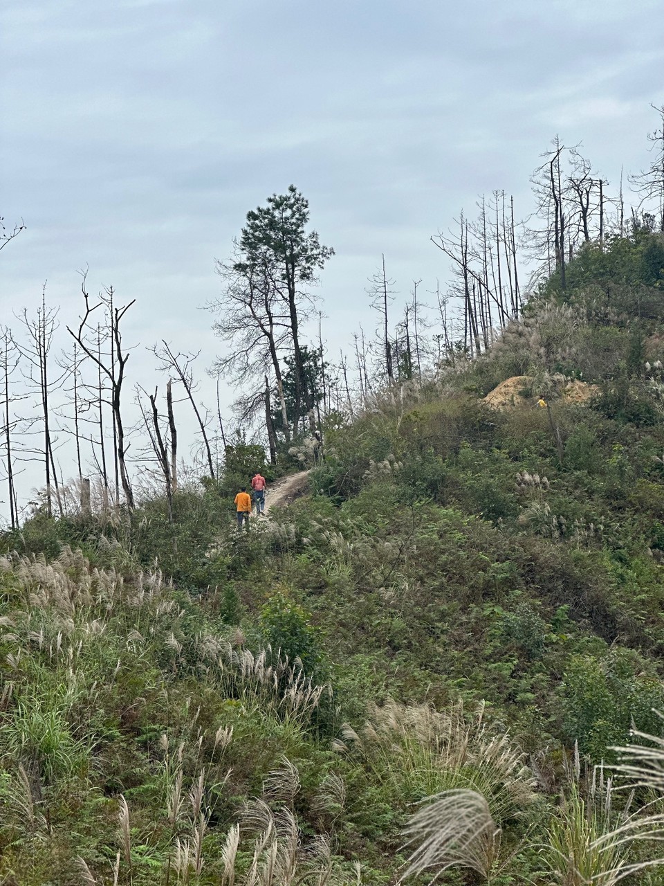 f8ce1b4ac4aa2b9a05f1ad7526503a17