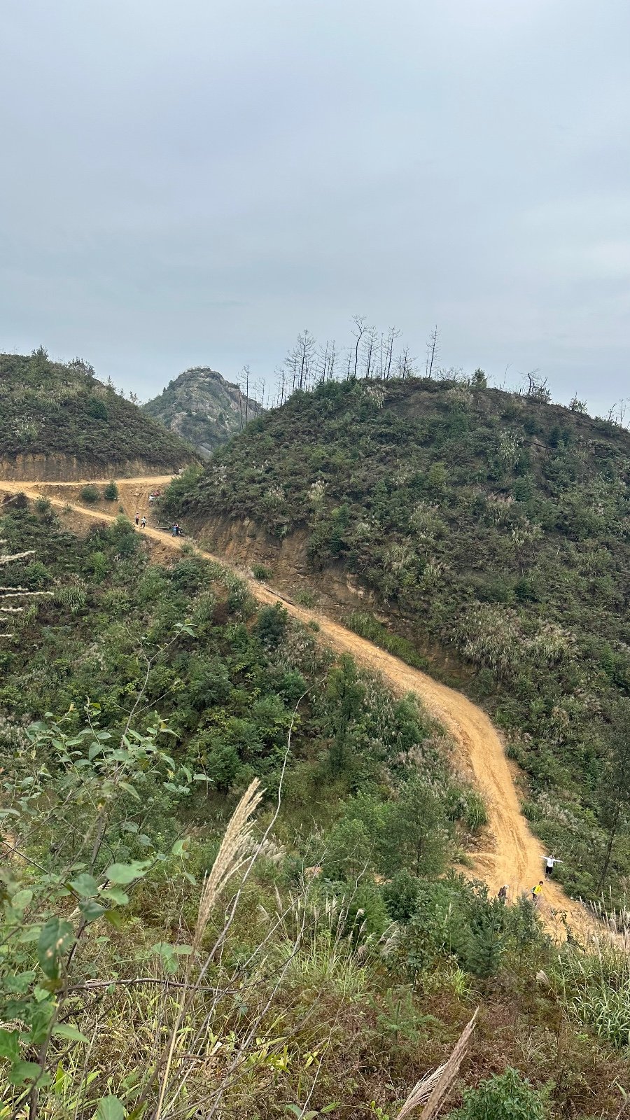 f934297c86c91e914d3e7bef3f2b4740