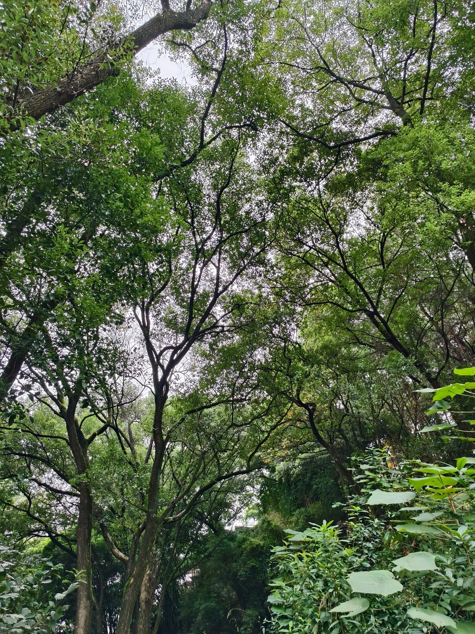 39583a5780b862a3fd838c591bbff5a5