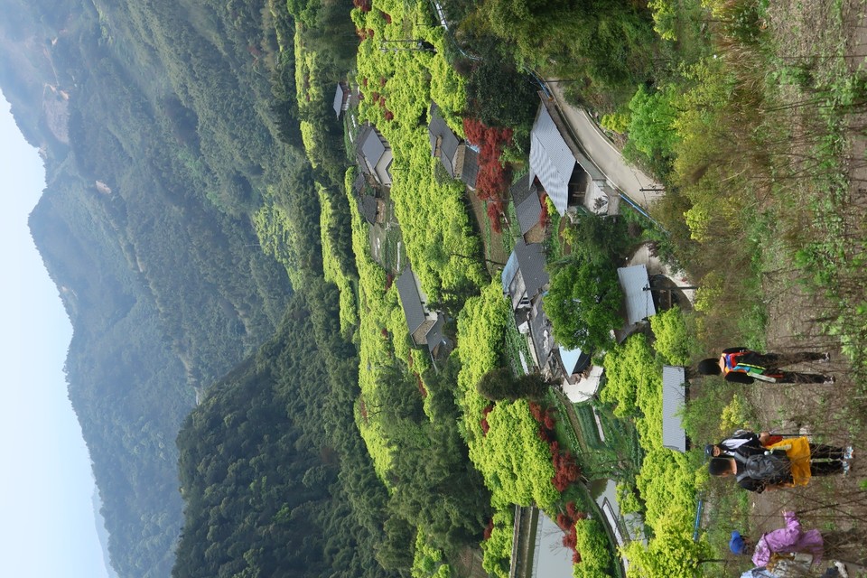 IMG_7982