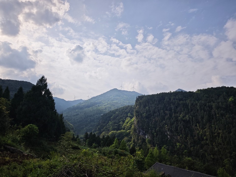 MVIMG_20260416_164707