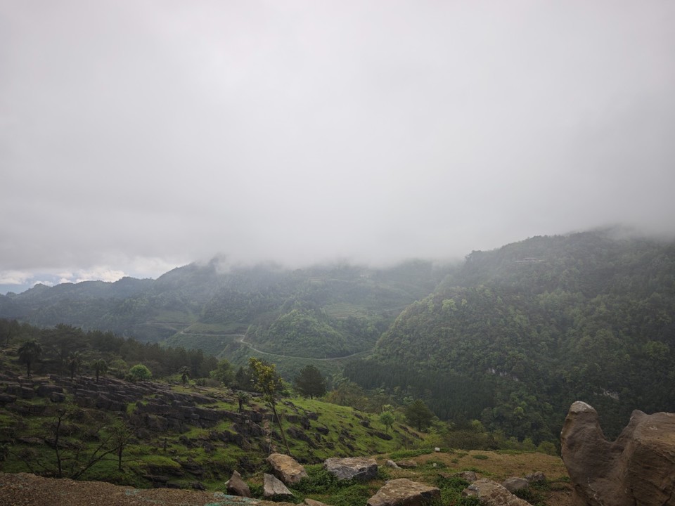 MVIMG_20260415_164657