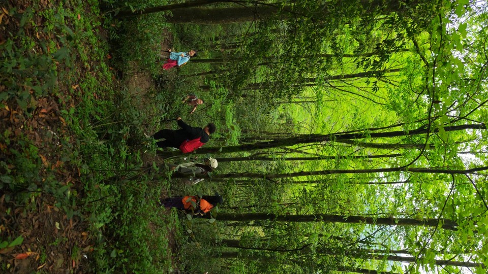 MVIMG_20260415_141307