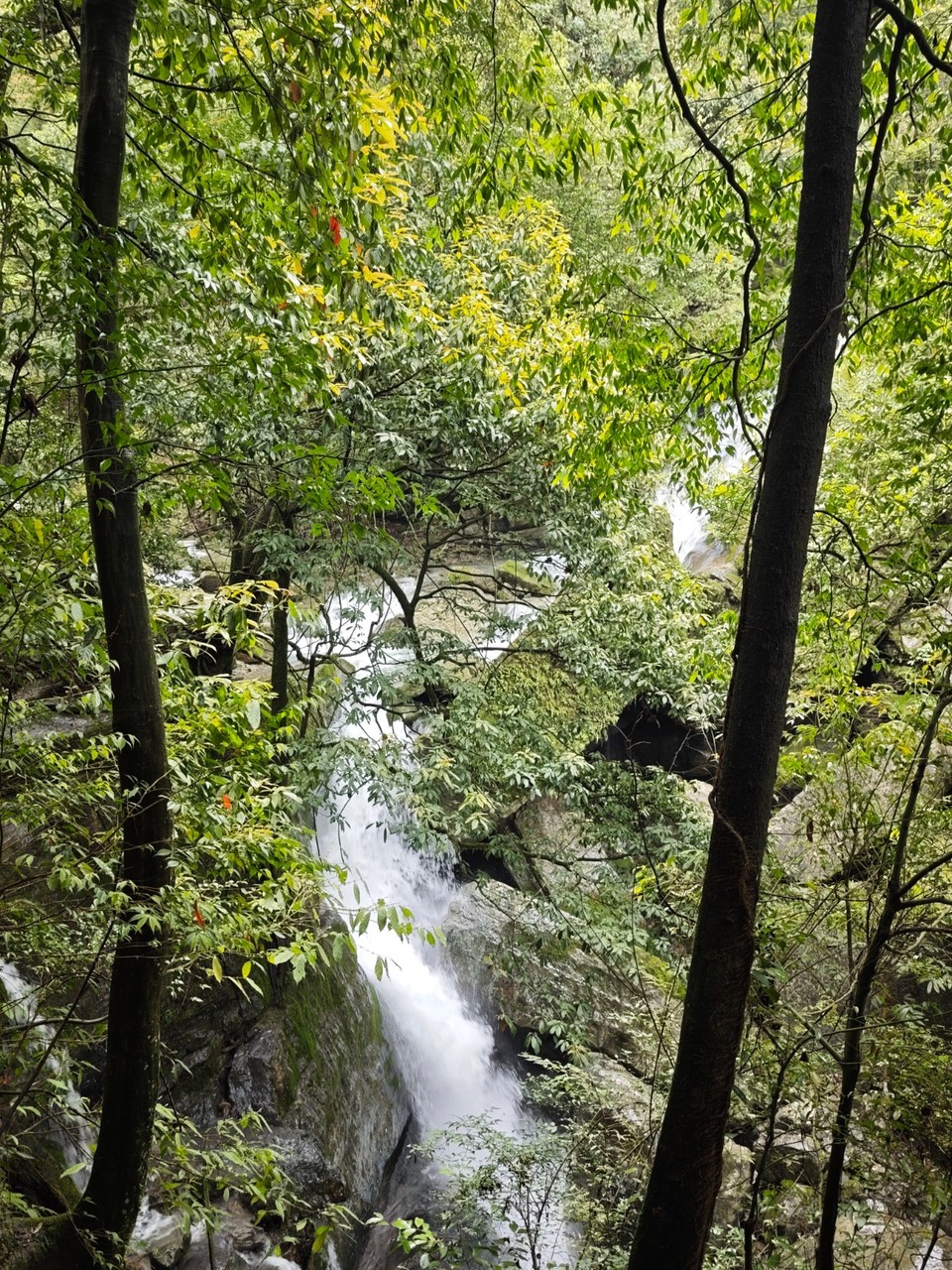 MVIMG_20260415_141719