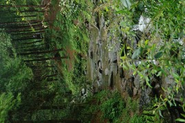IMG_8088