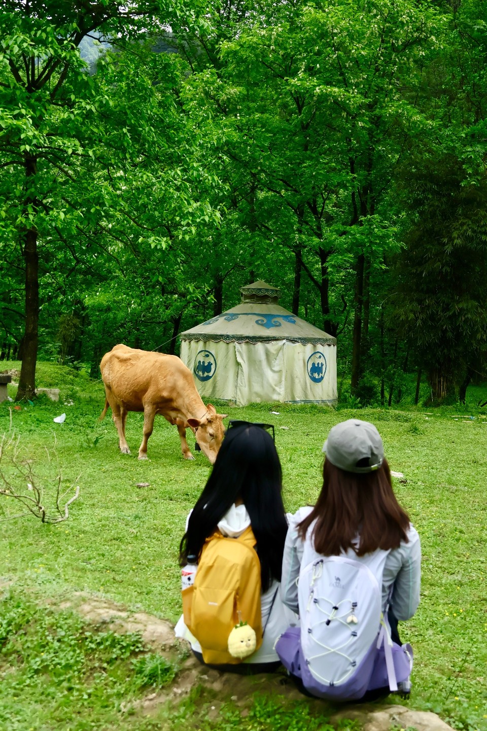 IMG_9963