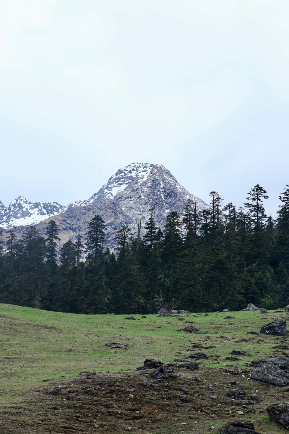 IMG_1629