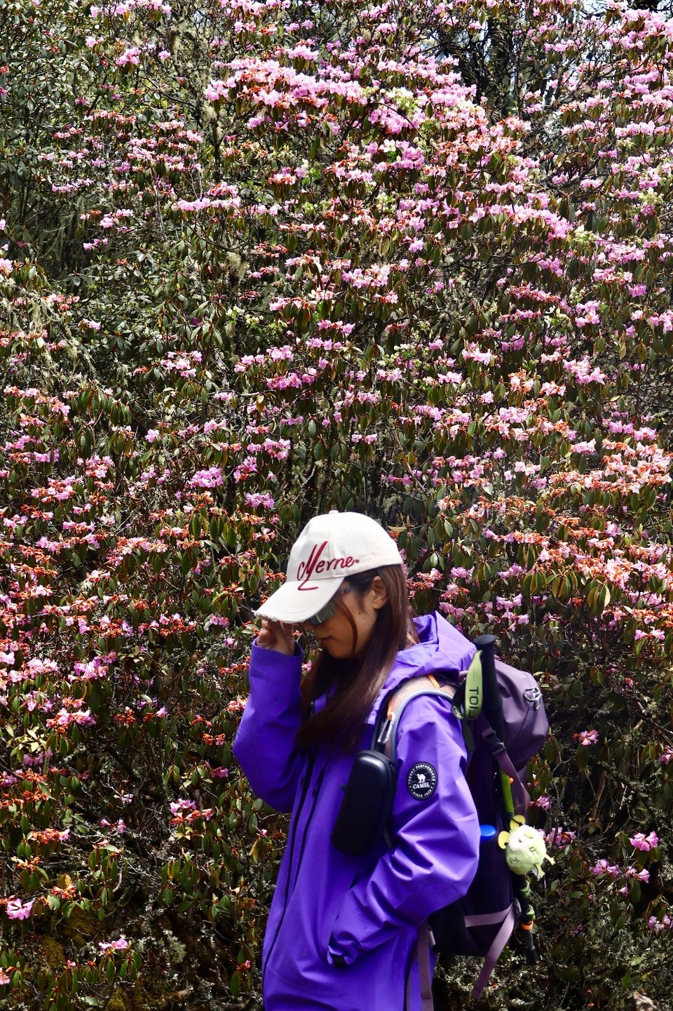 IMG_1665