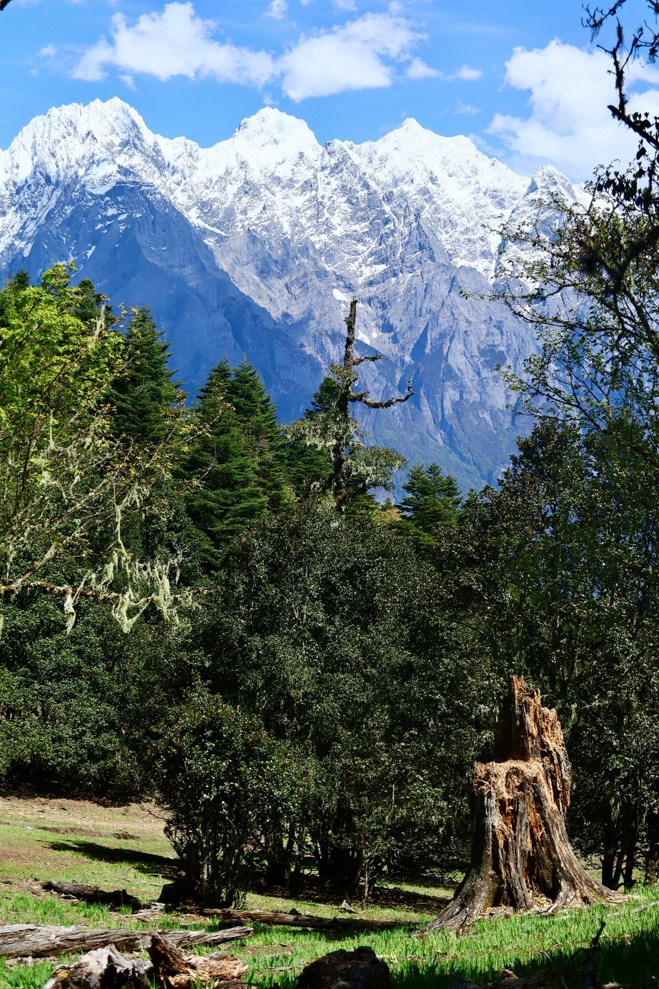 IMG_1774
